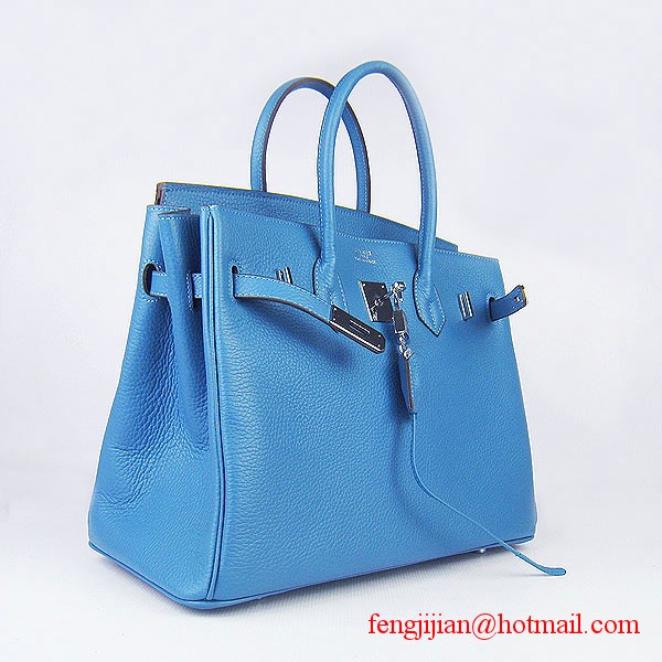 Hermes 35cm Embossed Veins Leather Bag Bule 6089 Silver Hardware